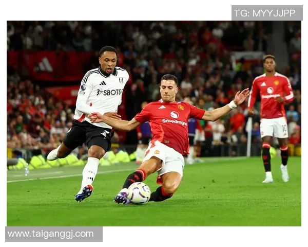 两大足球明星连线畅谈职业生涯与未来展望精彩瞬间回顾与球迷互动分享