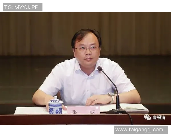 张帆：在风雨中坚定前行的青年领袖与他的奋斗故事