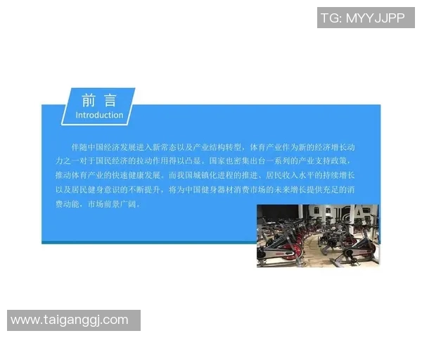 广州体育器材市场发展现状与未来趋势分析及投资机会探讨