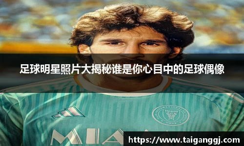 足球明星照片大揭秘谁是你心目中的足球偶像