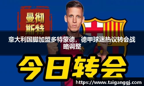 意大利国脚加盟多特蒙德，德甲球迷热议转会战略调整