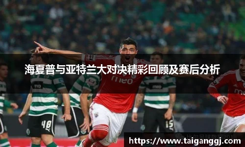 海夏普与亚特兰大对决精彩回顾及赛后分析